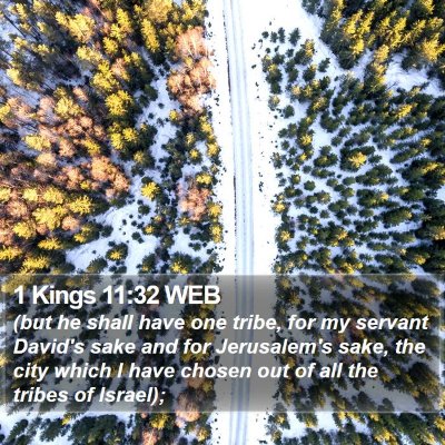 1 Kings 11:32 WEB Bible Verse Image