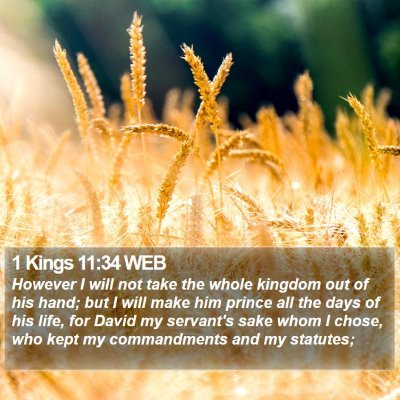1 Kings 11:34 WEB Bible Verse Image