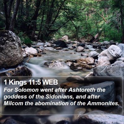 1 Kings 11:5 WEB Bible Verse Image