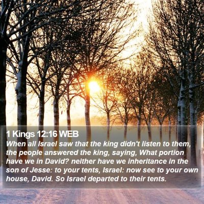 1 Kings 12:16 WEB Bible Verse Image