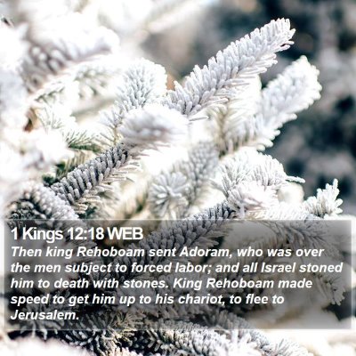 1 Kings 12:18 WEB Bible Verse Image