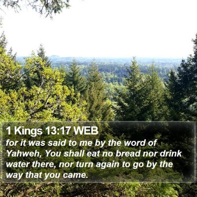 1 Kings 13:17 WEB Bible Verse Image
