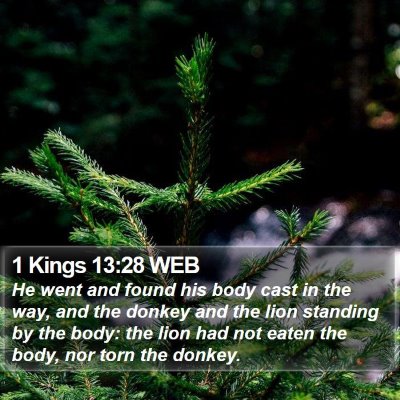 1 Kings 13:28 WEB Bible Verse Image