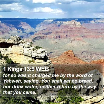 1 Kings 13:9 WEB Bible Verse Image