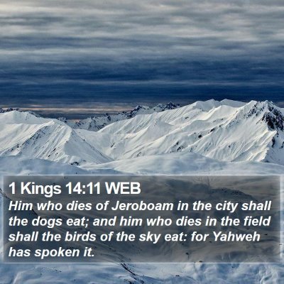1 Kings 14:11 WEB Bible Verse Image