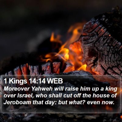 1 Kings 14:14 WEB Bible Verse Image