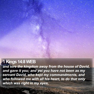 1 Kings 14:8 WEB Bible Verse Image