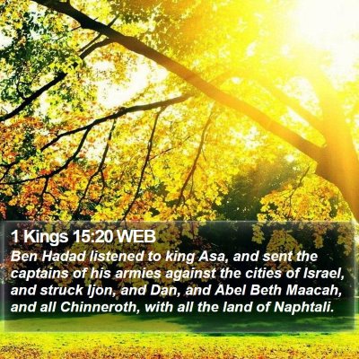 1 Kings 15:20 WEB Bible Verse Image