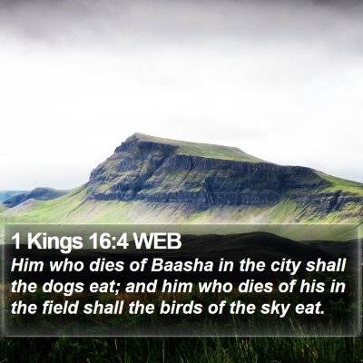 1 Kings 16:4 WEB Bible Verse Image