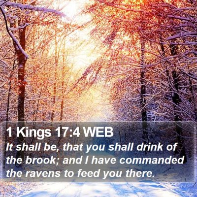 1 Kings 17:4 WEB Bible Verse Image