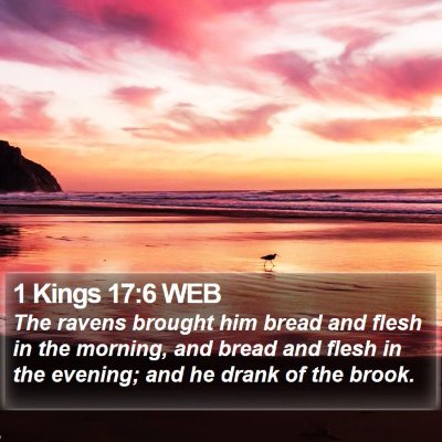 1 Kings 17:6 WEB Bible Verse Image