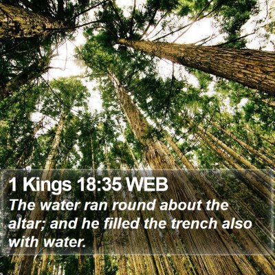 1 Kings 18:35 WEB Bible Verse Image