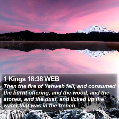 1 Kings 18:38 WEB Bible Verse Image