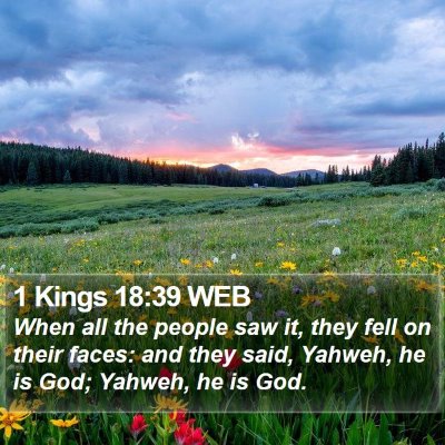 1 Kings 18:39 WEB Bible Verse Image