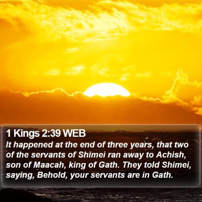 1 Kings 2:39 WEB Bible Verse Image