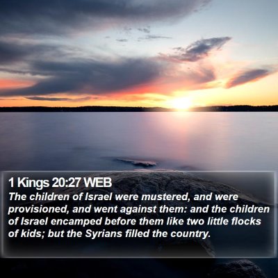 1 Kings 20:27 WEB Bible Verse Image