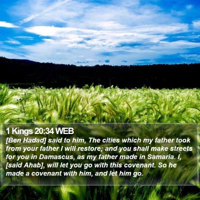 1 Kings 20:34 WEB Bible Verse Image