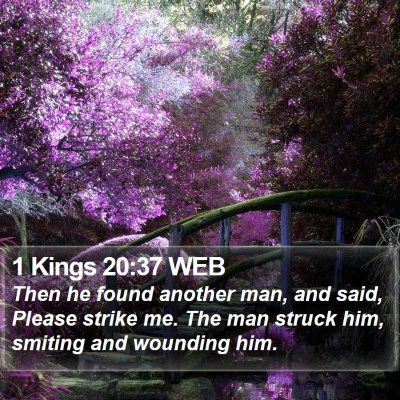 1 Kings 20:37 WEB Bible Verse Image