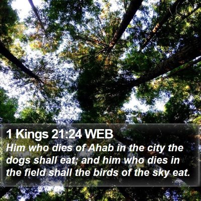1 Kings 21:24 WEB Bible Verse Image