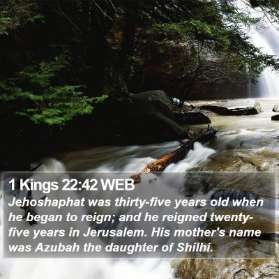 1 Kings 22:42 WEB Bible Verse Image