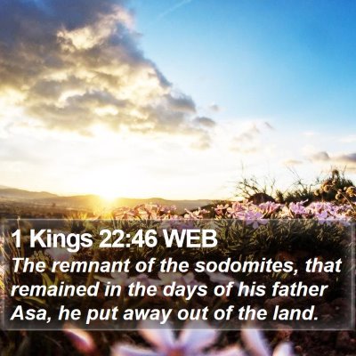 1 Kings 22:46 WEB Bible Verse Image