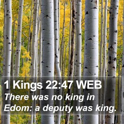1 Kings 22:47 WEB Bible Verse Image
