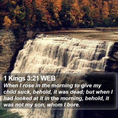 1 Kings 3:21 WEB Bible Verse Image