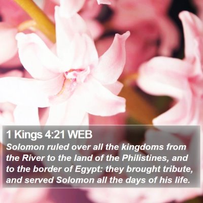 1 Kings 4:21 WEB Bible Verse Image