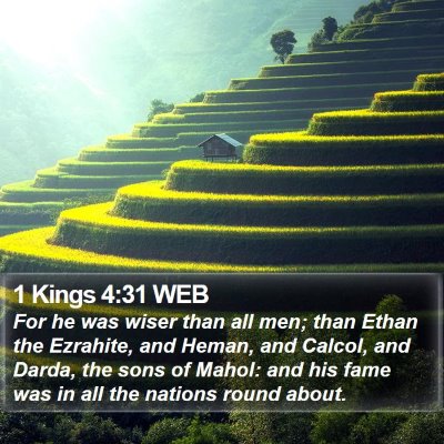1 Kings 4:31 WEB Bible Verse Image