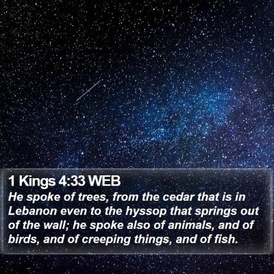 1 Kings 4:33 WEB Bible Verse Image