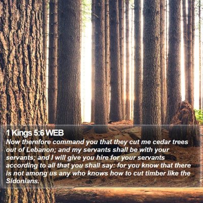 1 Kings 5:6 WEB Bible Verse Image