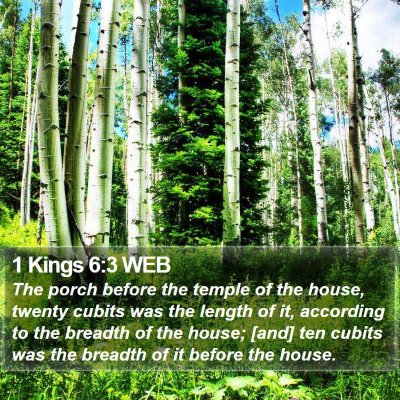 1 Kings 6:3 WEB Bible Verse Image