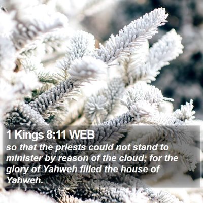 1 Kings 8:11 WEB Bible Verse Image