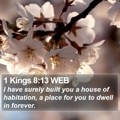 1 Kings 8:13 WEB Bible Verse Image