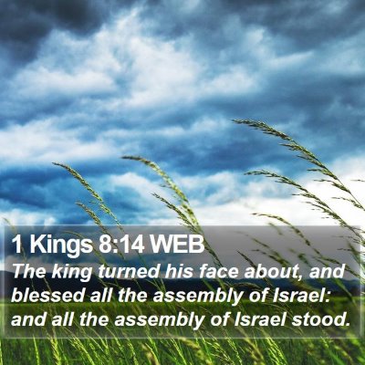 1 Kings 8:14 WEB Bible Verse Image