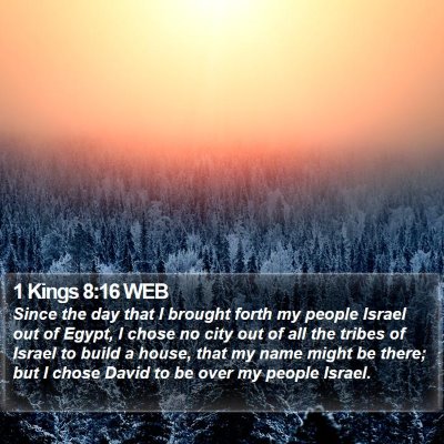 1 Kings 8:16 WEB Bible Verse Image