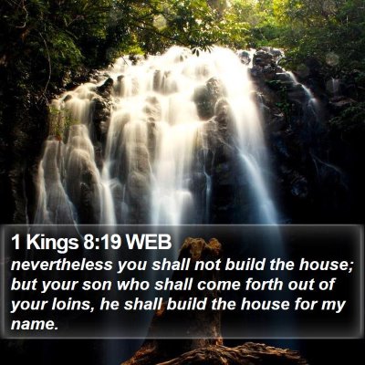 1 Kings 8:19 WEB Bible Verse Image