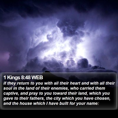 1 Kings 8:48 WEB Bible Verse Image