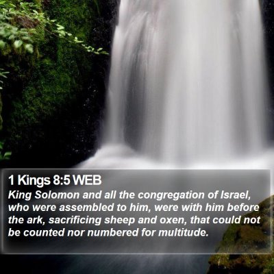 1 Kings 8:5 WEB Bible Verse Image