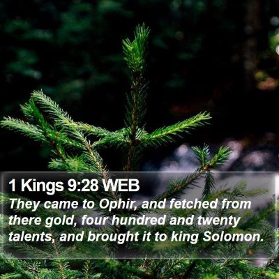 1 Kings 9:28 WEB Bible Verse Image