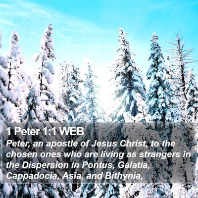 1 Peter 1:1 WEB Bible Verse Image