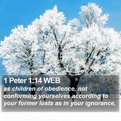 1 Peter 1:14 WEB Bible Verse Image