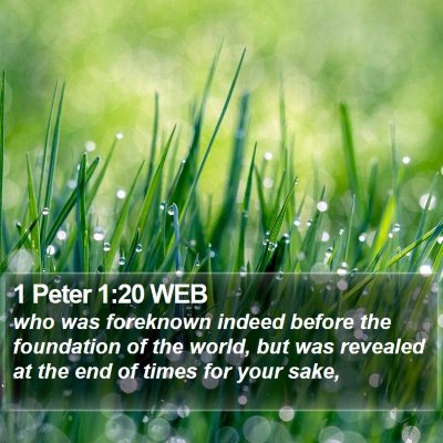 1 Peter 1:20 WEB Bible Verse Image