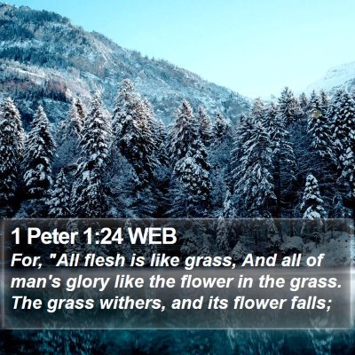 1 Peter 1:24 WEB Bible Verse Image