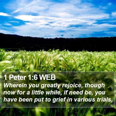 1 Peter 1:6 WEB Bible Verse Image