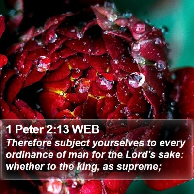 1 Peter 2:13 WEB Bible Verse Image