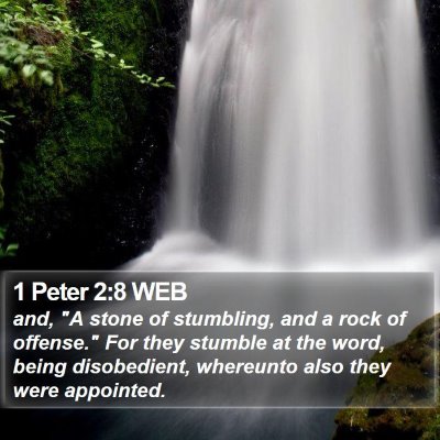1 Peter 2:8 WEB Bible Verse Image