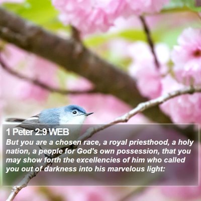 1 Peter 2:9 WEB Bible Verse Image