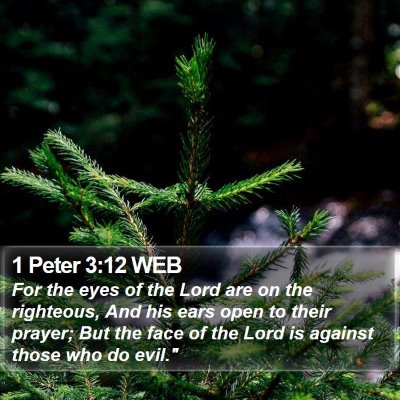 1 Peter 3:12 WEB Bible Verse Image