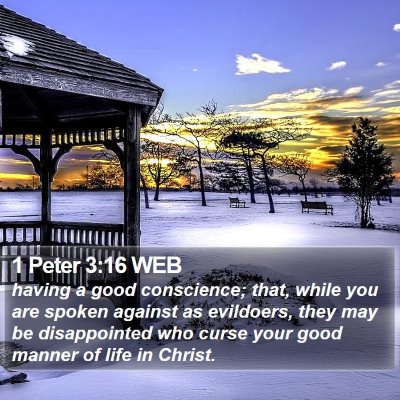 1 Peter 3:16 WEB Bible Verse Image